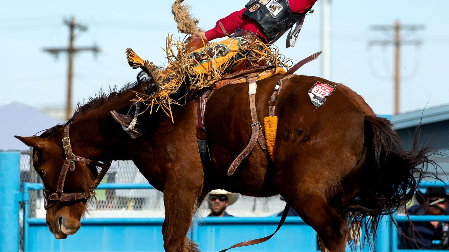 Photos: Final day of the 2022 Tucson Rodeo